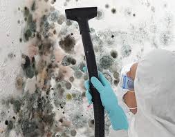 Best Black Mold Removal  in Clarkson, KY